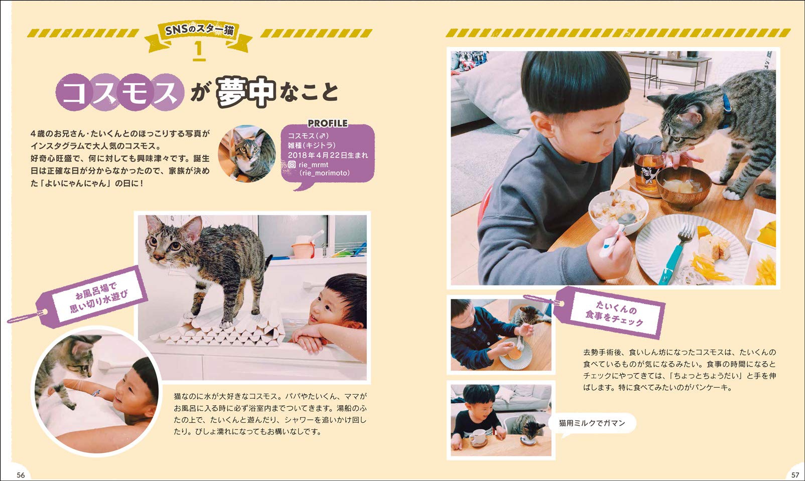 My Dear Cat 玄光社 9784768311646 Amazon Com Books