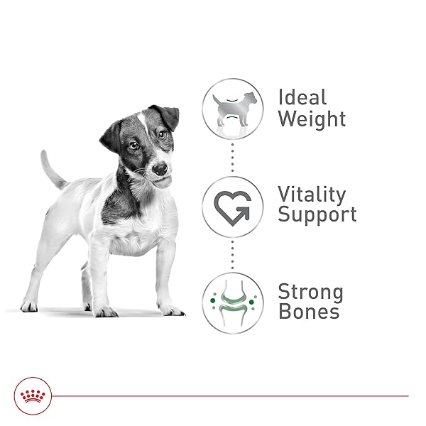 ROYAL CANIN SIZE HEALTH NUTRITION SMALL ADULT 8+ DRY DOG FOOD, 2.5 LB BAG