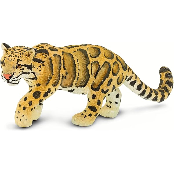 シム・シメール、【THE LITTLE CLOUDED LEOPARD】 Raising Clouded Leopards (Smithsonian: Informational Text): Lisa