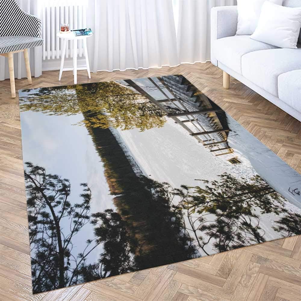 Alfombra de área al aire libre, alfombra de área roja Paisaje de