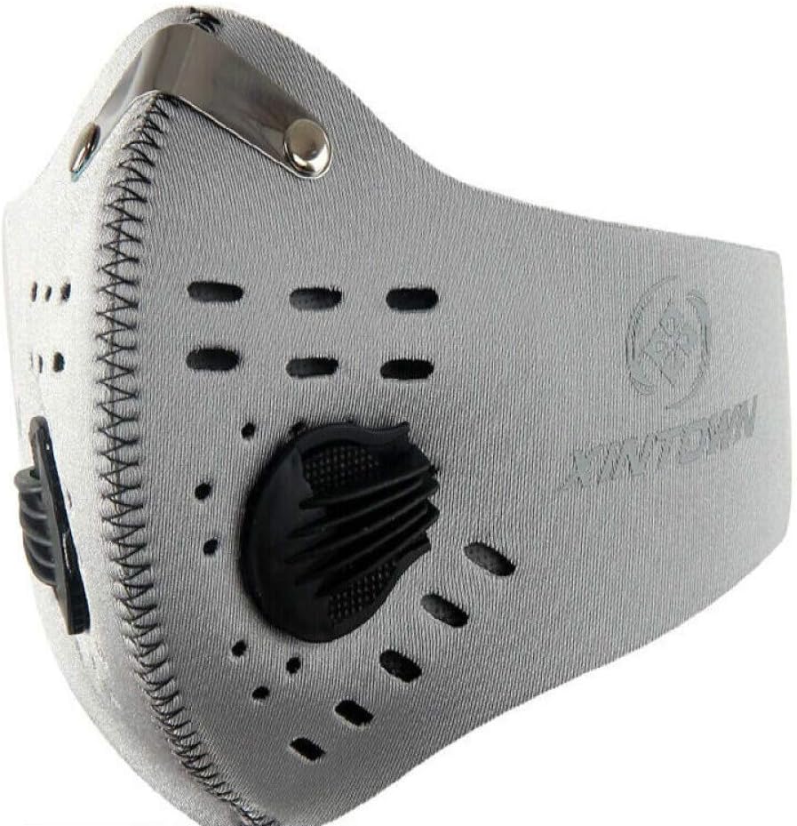 Anti Pollution Dust Mask Cycling Mask with 2 Valves and 4 Activated Carbon for Running, Biking, and Outdoor Activitie. (Large, 2-Pack) (Gray)