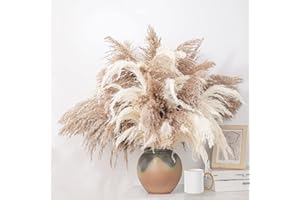 ROOLLYA 28" inch 20 Stems Large Pampas Grass Decor - Fluffy Brown & White Pampas Grass Decor Tall Pompas Grass for Floor Vase - Boho Home Decor Wedding Decor Natural Flower Bouquet