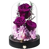 Pinnetetti Flowers Gifts for Women, Preserved Roses in Glass Dome, Forever Flowers for Delivery Mothers Day Birthday Gifts for Mom Her Wife Girlfriend on Valentines Day Anniversary Purple