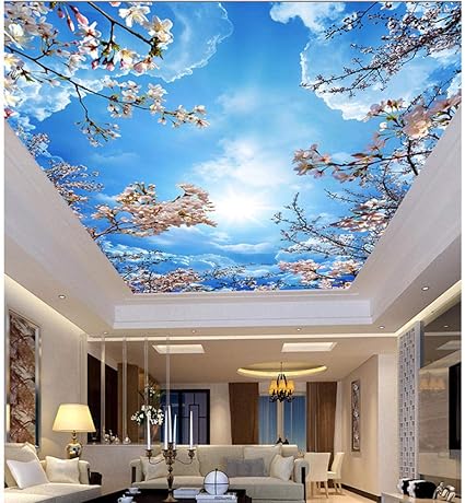 3D Techo Transparente Techo Dosel Cielo Azul Cielo Nube Blanca Techo