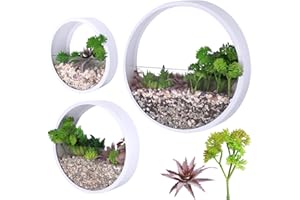 ZEETOON Modern Wall Planters, Circle Round Flower Pot Metal Iron Indoor Vertical Container Wall Hanging Home Decoration Size S,M,L 3 Pack Set with 2 PCS Artificial Succulent Plant