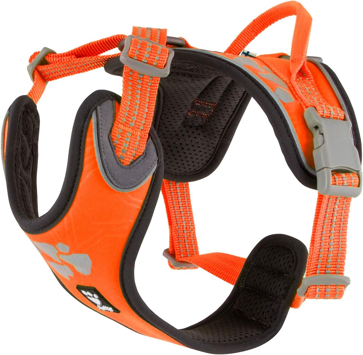 orange dog harness
