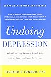 Undoing Depression: What Therapy Doesn't Teach You and Medication Can't Give You
