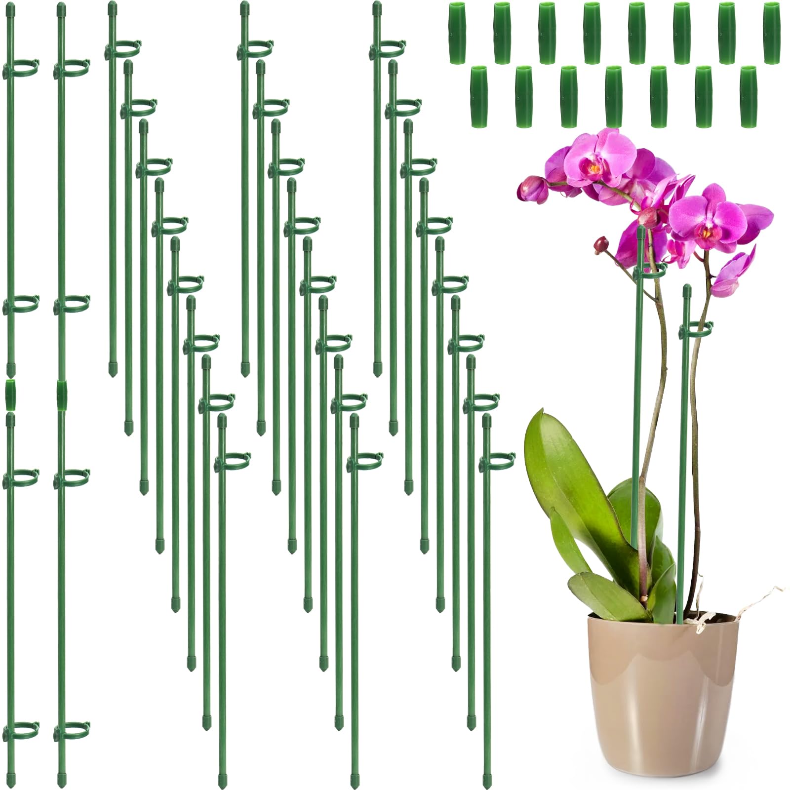 Coloch 48 Pack Plant Support Stakes, 17"/43cm & 11"/28cm Height Adjustable Garden Plant Stake Orchid Sticks with 48 Clips and 24 Links Potted Plant Support for Orchid, Amaryllis, Tomato, Outdoor
