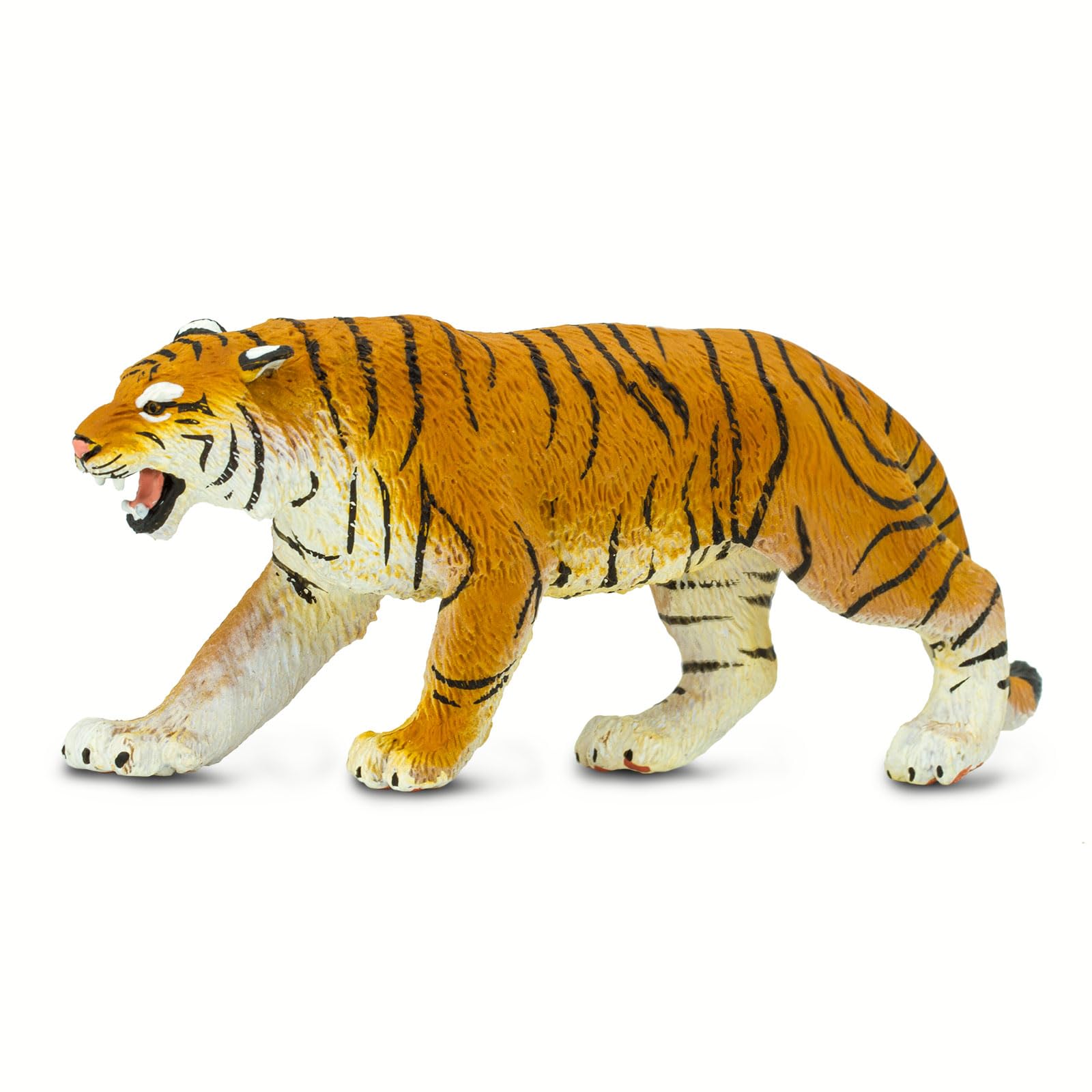 Siberian Tiger