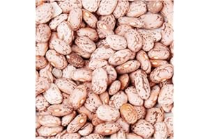 MARDE ROSS & COMPANY Bush Bean Pinto Bean Seeds
