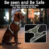HEELE Dog Harness No Pull Large Front Back Clips Reflective Padded Green L view 5