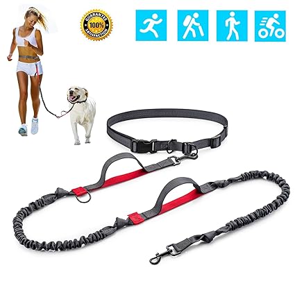 retractable leash for 100 lb dog