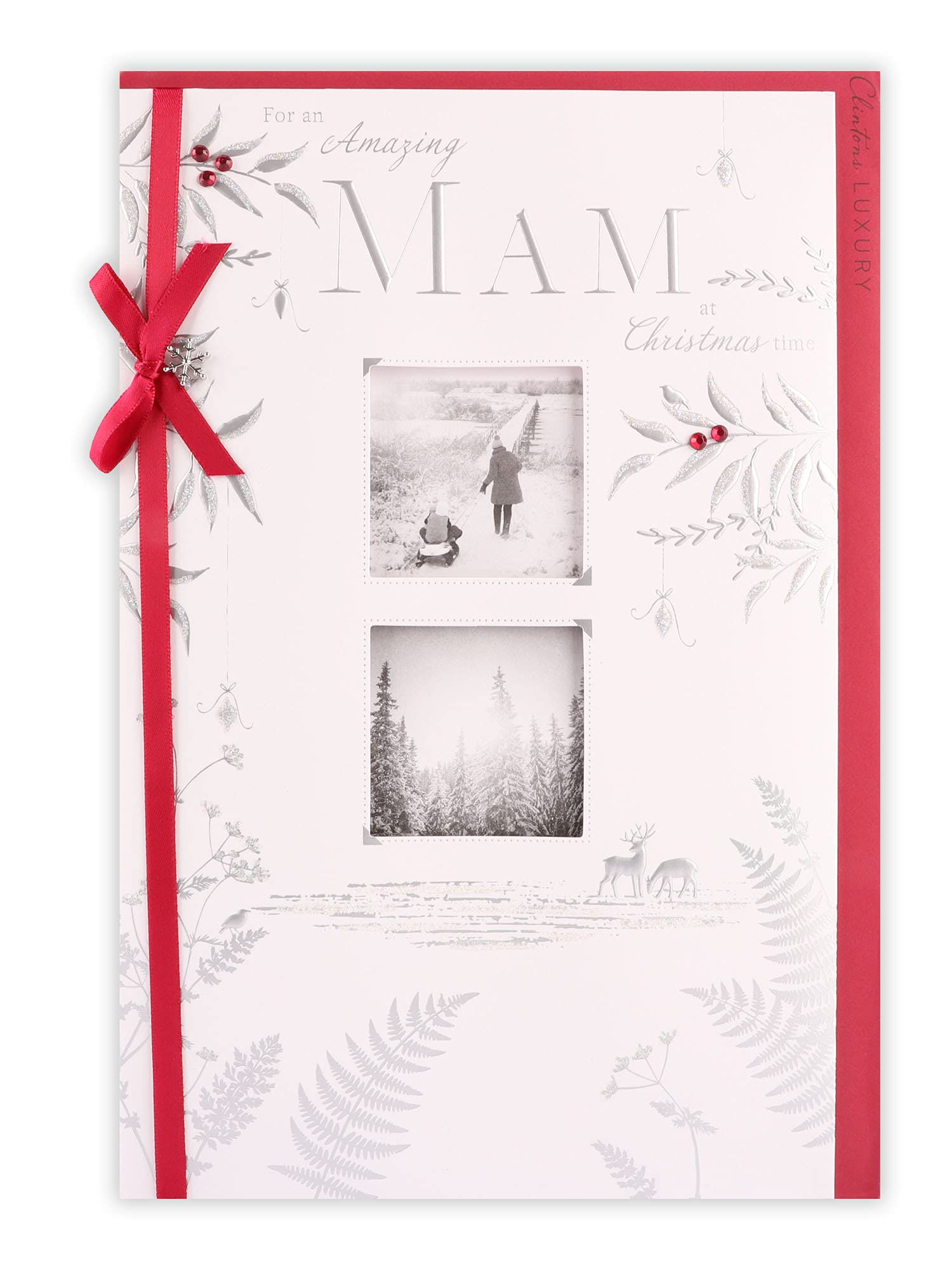 Clintons: An Amazing Mam Christmas Card, Multi-Colour, 171 x 260 (1169172)