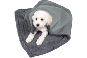 Kritter Planet Waterproof Blanket for Small Dogs, Pee Proof Sherpa Fleece Puppy Blanket, Reversible Cover for Couch Bed, Liquid Proof Furniture Protector
