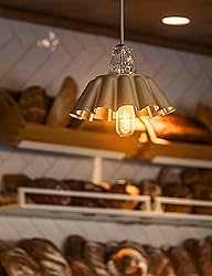 DORESshop Vintage Edison Light Bulbs, 40