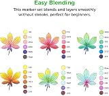 Ohuhu 48 Colour Alcohol Markers Brush & Chisel Tips Dual-Tip Set view 4