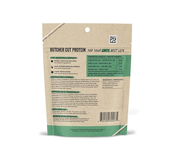 VITAL ESSENTIALS FREEZE DRIED CAT TREATS | SALMON BITES, SINGLE PROTEIN | PREMIUM QUALITY | GRAIN FREE, CRUNCHY CAT TREATS, 1.1 OZ BAG