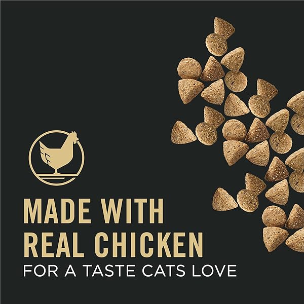 PURINA PRO PLAN VITAL SYSTEMS CHICKEN AND EGG FORMULA 4-IN-1 ADULT DRY CAT FOOD – 3 LB. BAG
