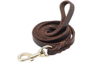 SFTORMAS Leather Dog Leash 4ftx3/4inch,Braided Leather Leash for Dogs,Soft Leather Training Dog Leash,Strong Leather Leash for Small Medium Large Breed Dogs(Brown)
