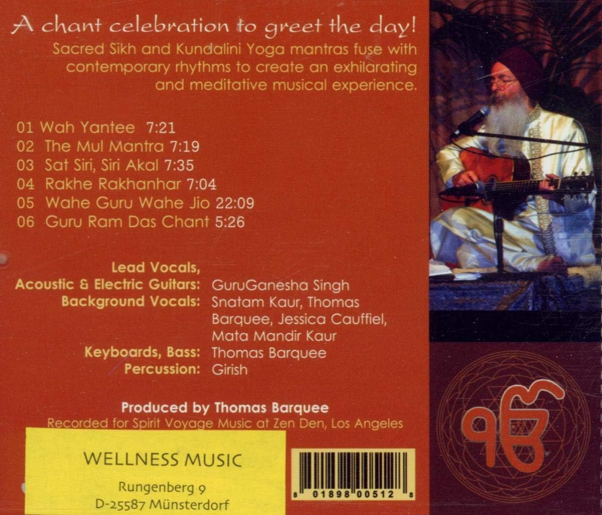 Grateful Ganesh - Image 3
