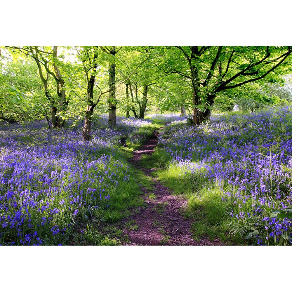 Aoihrraan 1,5x1m Lavender Manor Backdrop Purple Flowers Green Trees Spring Forest Park Nature Landscape Photography Background Wedding Shoots Children Adults Artistic Portrait Photo Studio Props