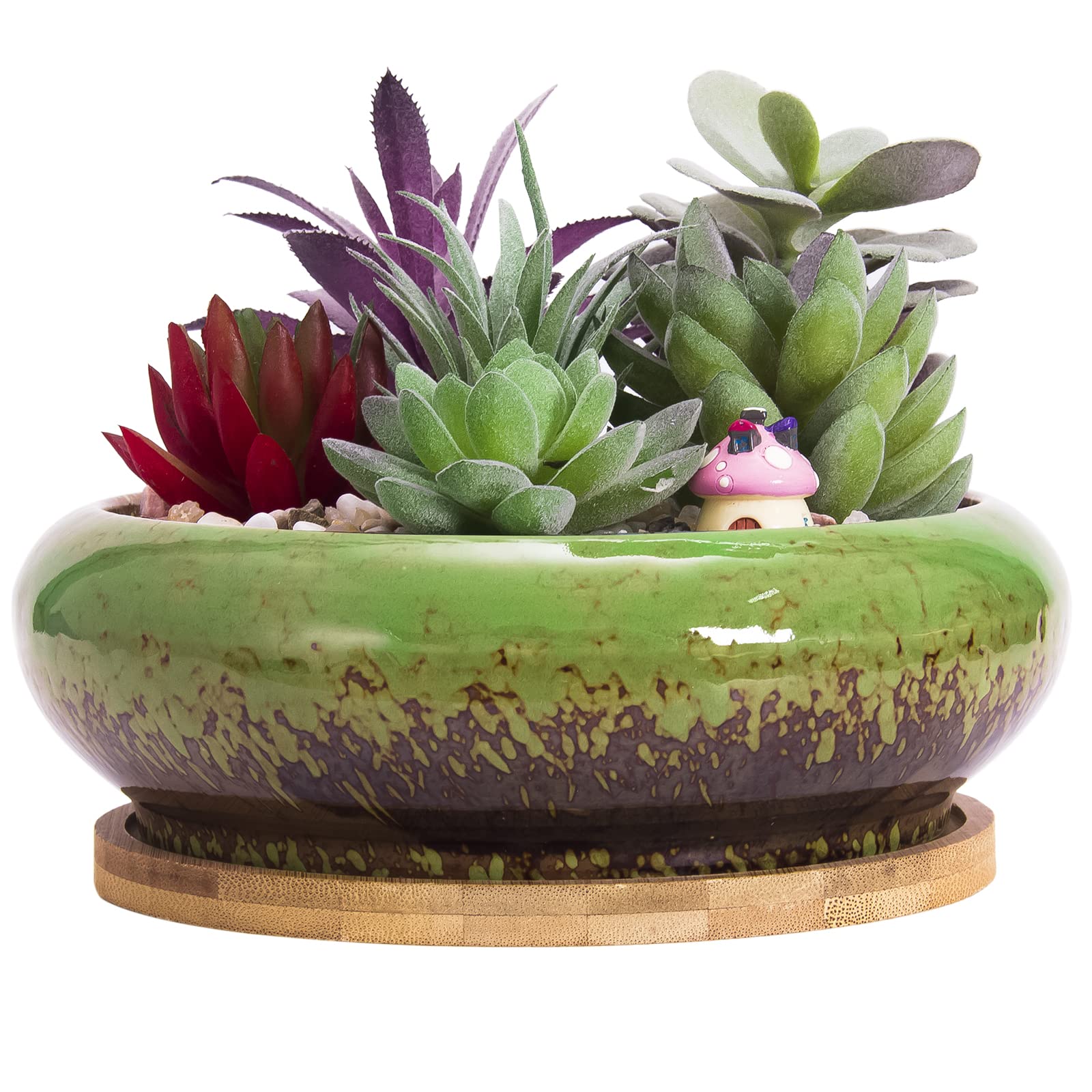 Succulent Plant Pot, 18.5CM Large Bonsai Pot with Tray Ceramic Succulent Pot with Drainage Hole Shallow Cactus Flower Pots for Indoor/Outdoor Plants Glazed Planter Bowl, Green