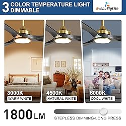 BvenuBigLite Ceiling Fan with Light Modern: 52 Inch