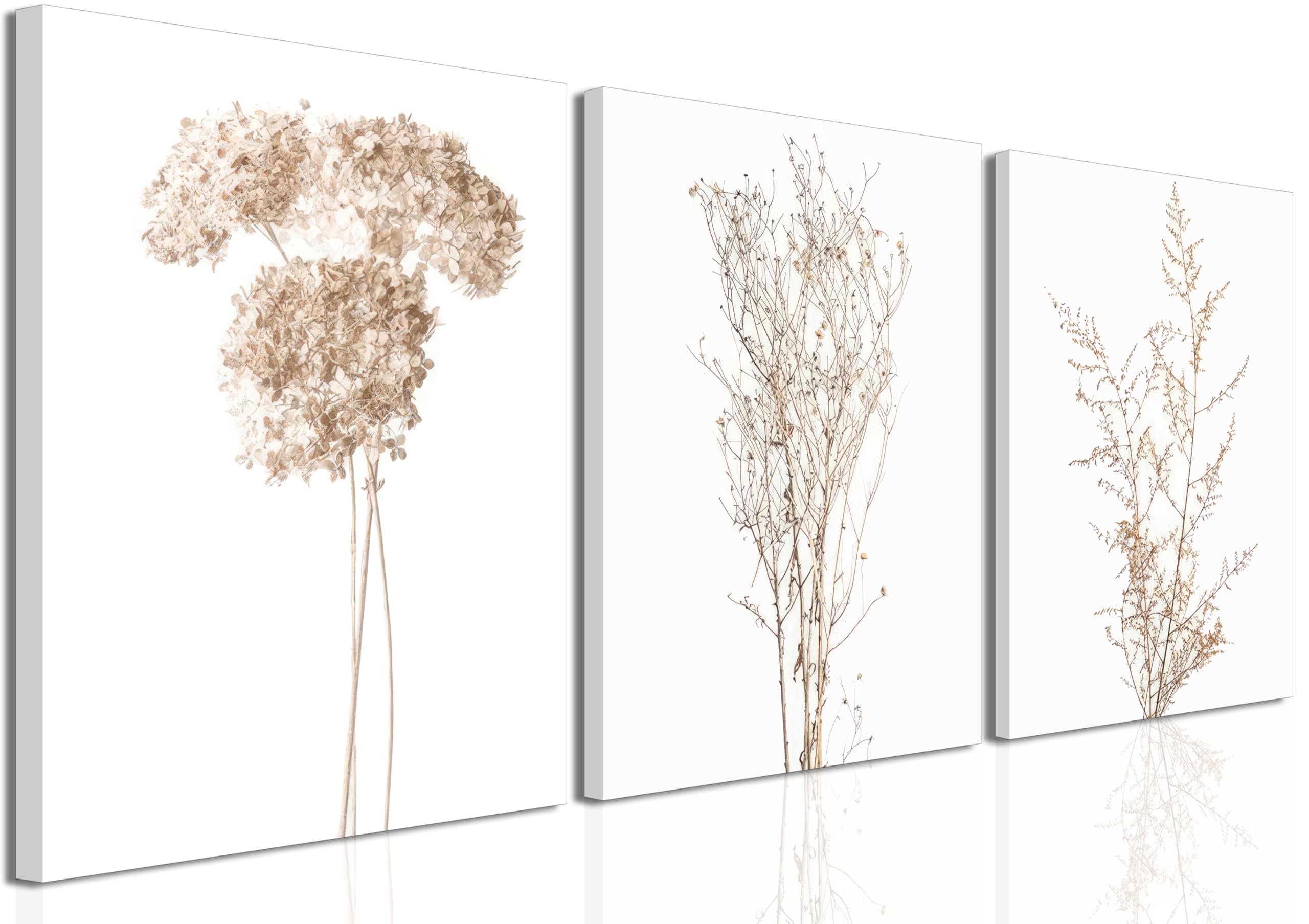 yulihaz Beige Botanical Wall Art Set of 3, Nature Plant Flower Wall ...