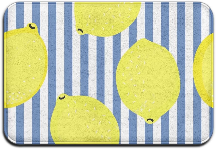 YIOOO Rectangle 40"x 60" Area Rug Lemon Summer Fruit Soft Modern Non-Slip Floor Mat Shag Area Rug Carpet Mat For Home Decorate Indoor Welcome Mats Carpet Office Chair Mat Pile