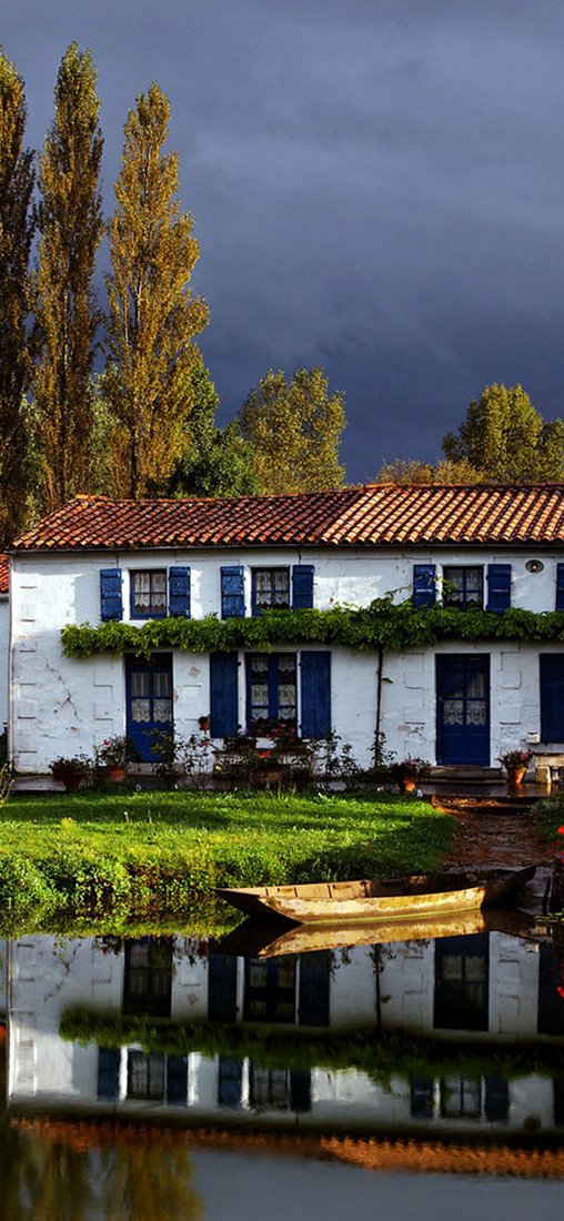 PeelitStickit, Beautiful Nature Wall Murals, ID-2575, vinyl