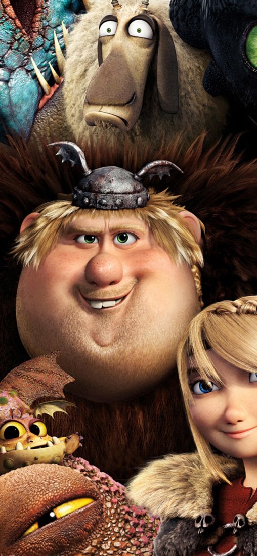 PeelitStickit How to Train 2 Dragons, vinyl