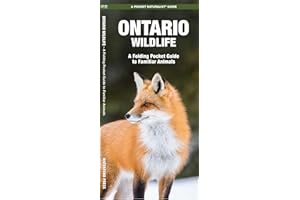 Ontario Wildlife, 2nd Ed (Nature Observation North America)