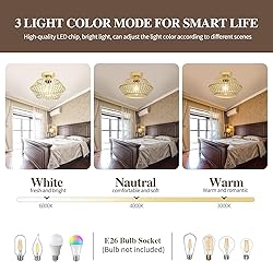 Jasopacp 1-Light Modern Gold Flush Mount Ceiling