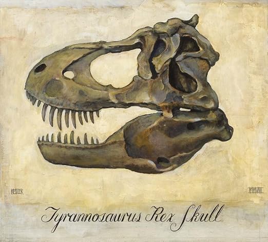 Amazon Com Tyrannosaurus Rex Skull By Daniel Kessler Art Print
