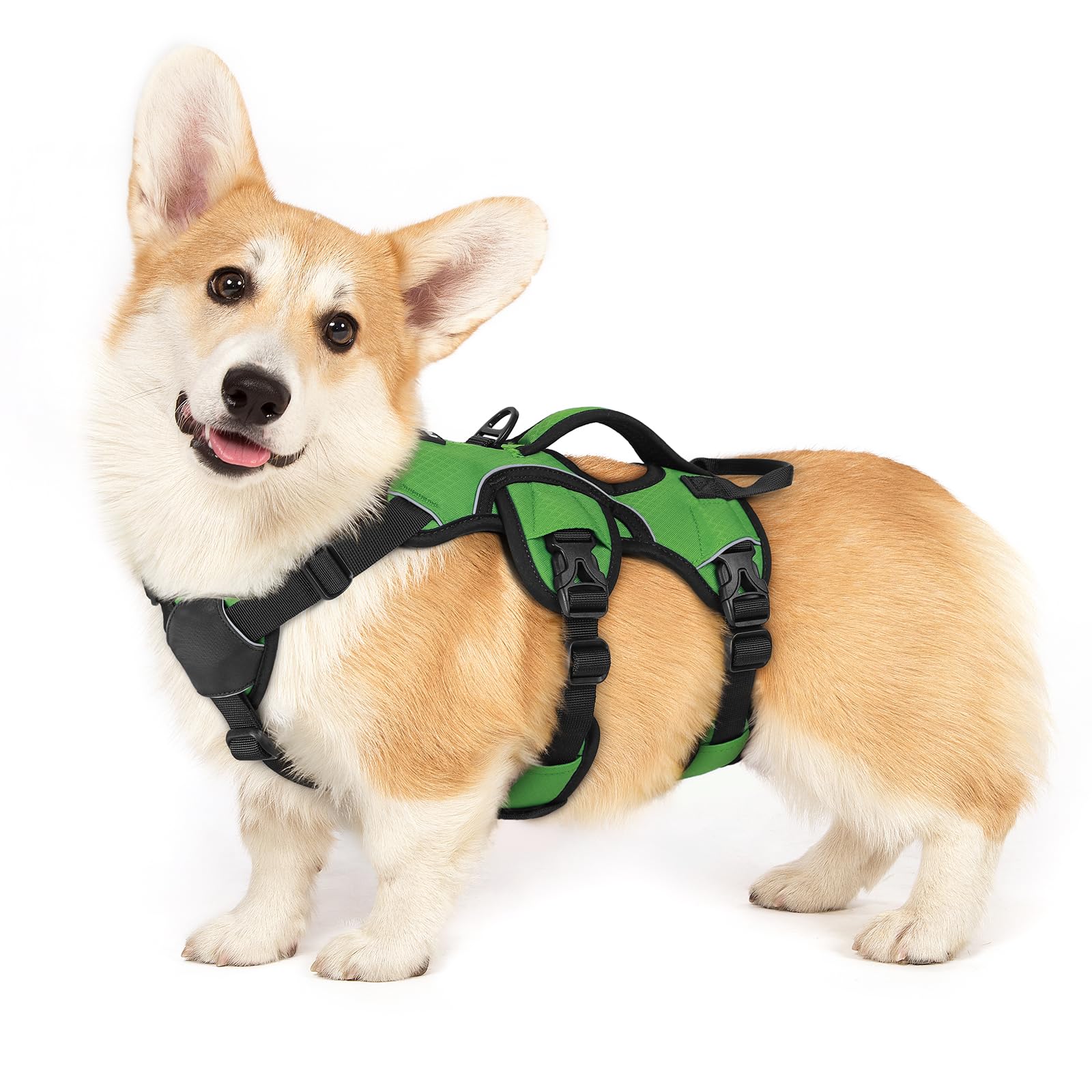 rabbitgoo Escape-Proof Dog Harness Small Dog with Handle, Anti-Pull Reflective Working Service Pets Vest, Breathable Pets Vest Puppy, Adjustable Lift Support Body Harness Outdoor, S, Green — image 1