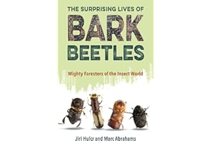 The Surprising Lives of Bark Beetles: Mighty Foresters of the Insect World