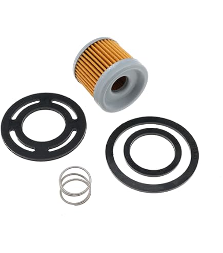 Amazon.com: RPS Gen 3 Fuel Module Filter Kit Replaces
