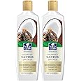 Parachute Advansed Nourishing Care Castor Shampoo with Coconut | Tames & Nourishes Frizzy Hair| Makes Hair Thicker & Longer | 0% Harmful Chemicals | 11.4 Fl oz | Pack of 2