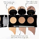 Dermaflage Full Coverage Concealer Palette 3 Colors Waterproof Cream Brush view 2