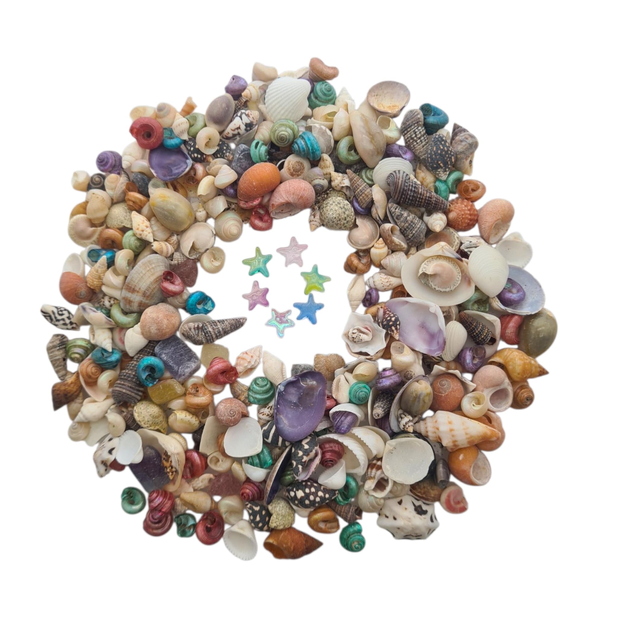 Avalon Mixed SEA Shells Collectable Small Seashell Mixes, Decorative Craft Shells, White Shells, Starfish, Weddings/Home Decor, Beach & Costal Themed Arts and Crafts Projects & Parties (Mix #SMM)
