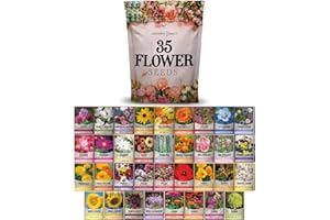 Gardeners Basics, Flower Seeds Packets for Planting 35 Individual Varieties Perennial, Annual, Wildflower Seeds for Planting Outdoors for Bees and Butterflies - Semillas de Flores Hermosas