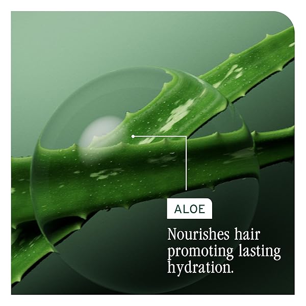 BIOLAGE HYDRA SOURCE CONDITIONING BALM – CONDITIONS, DETANGLES & ADDS SOFTNESS, FOR DRY HAIR, INFUSED WITH FERMENTED ALOE & MICRO-FILTERED HYALURONIC ACID, VEGAN & PARABEN-FREE, 16.9 FL OZ