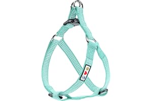 Pawtitas Reflective Step-in Dog Harness – Adjustable No-Pull Vest for Puppies to Seniors, Safe & Comfortable, S Teal
