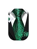 Barry.Wang Men Ties Paisley Woven Silk Necktie Set