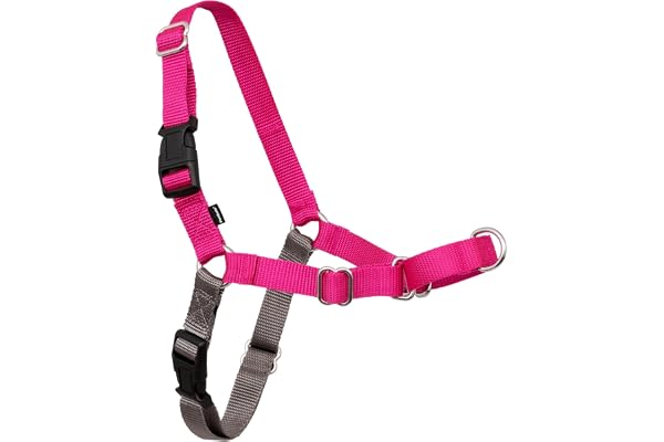 PetSafe Easy Walk Dog Harness, No Pull Dog Harness, Raspberry/Gray, Small/Medium