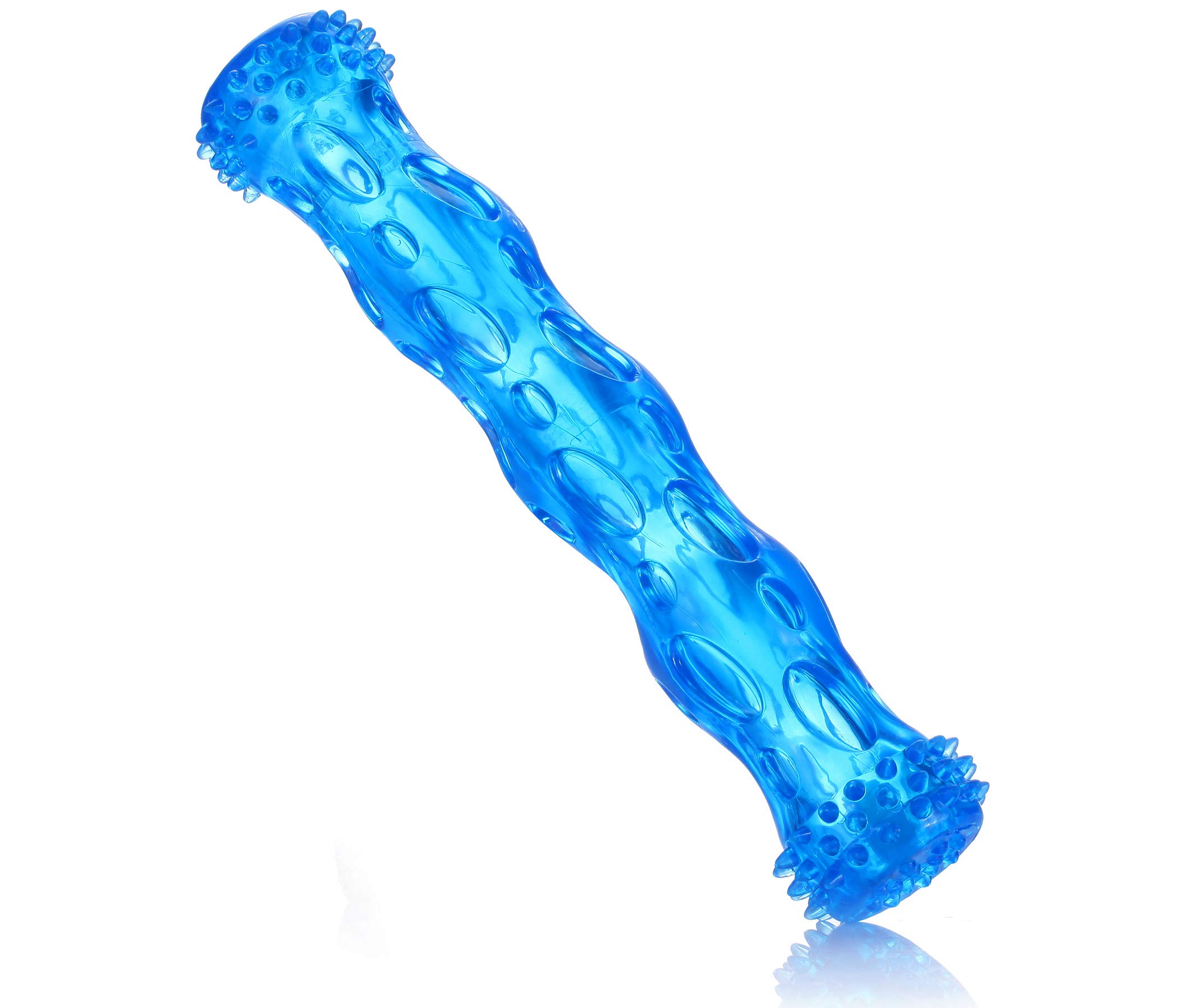 ZNOKA TPR Squeak Dog Chew Bone Toy, Bite Resistant Durable Tough Rubber Non-Toxic Tooth Cleaning Toy for Aggressive Chewer, Floating & Suitable for Pool Use, Large (Blue)