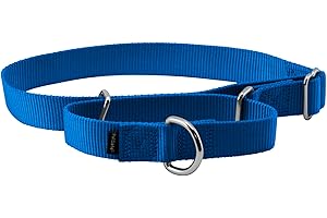 PetSafe Martingale Dog Collar - Safer Than Choke Chains - Gentle Correction for Pulling - Escape Prevention Collar - Durable Nylon - Everyday Walking Gear - 1" - Large - Royal Blue