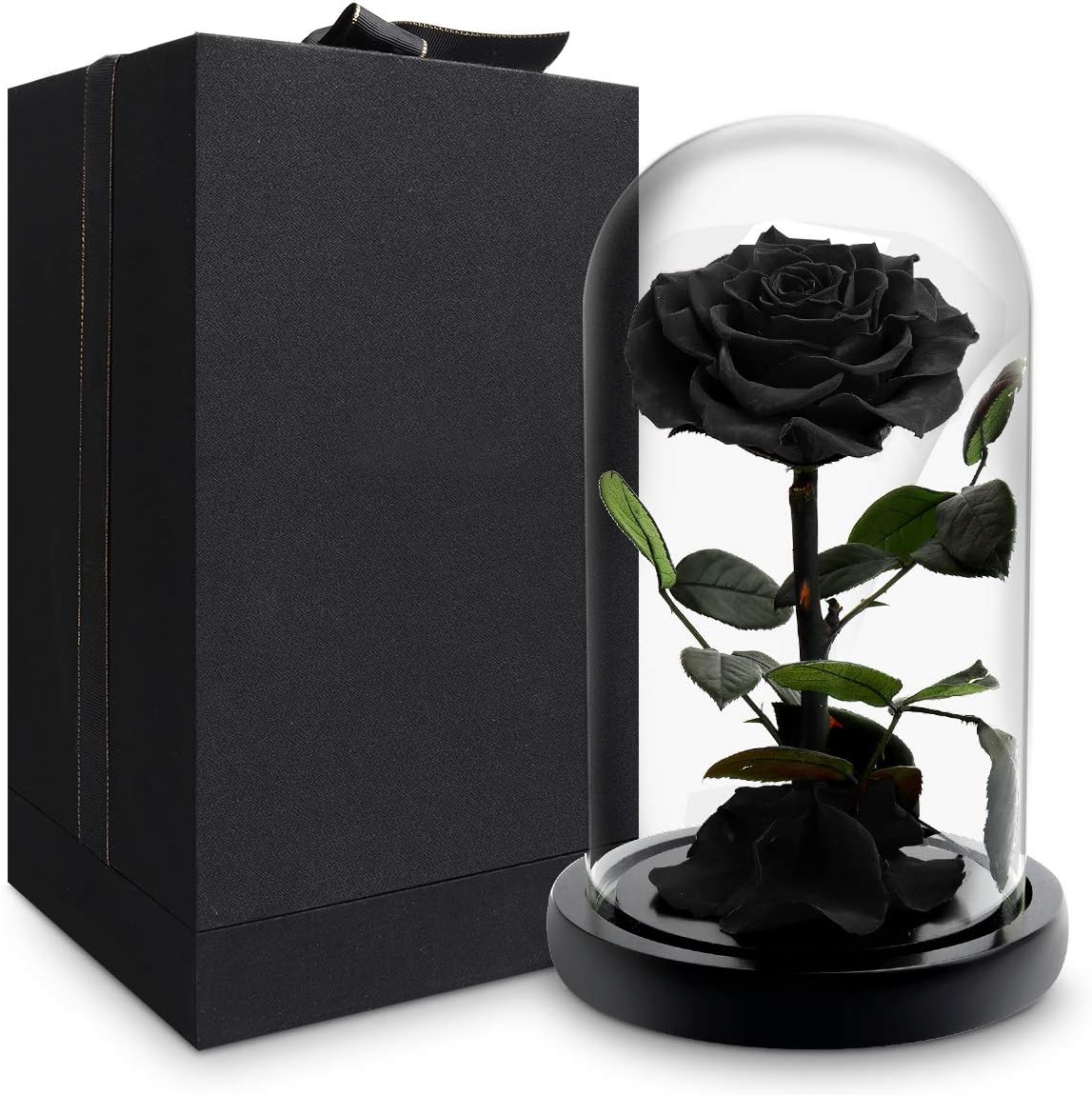 Foleto Preserved Real Rose, Forever Rose in Glass Dome Gifts for Her Christmas Valentine's Day Birthday for Girlfriend Wife (Black, Large)