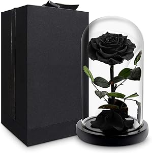 Foleto Preserved Real Rose, Forever Rose in Glass Dome Gifts for Her Christmas Valentine's Day Birthday for Girlfriend Wife (Black, Large)
