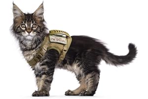 Tactical Cat Harness for Walking Escape Proof, Soft Mesh Adjustable Pet Vest Harness for Large Cat,Small Dog